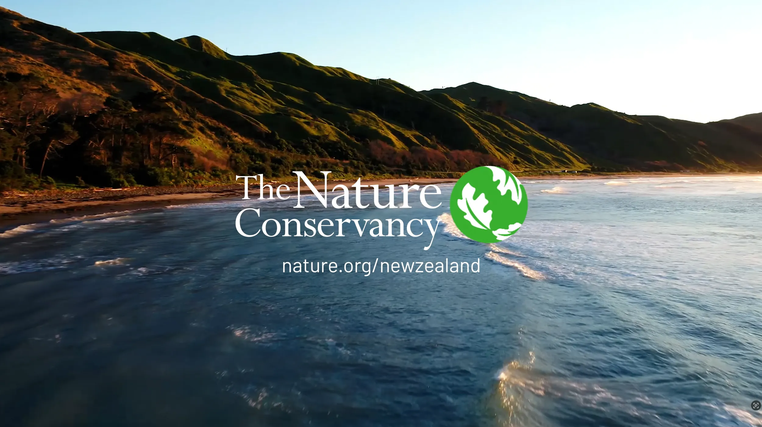 The Nature Conservancy