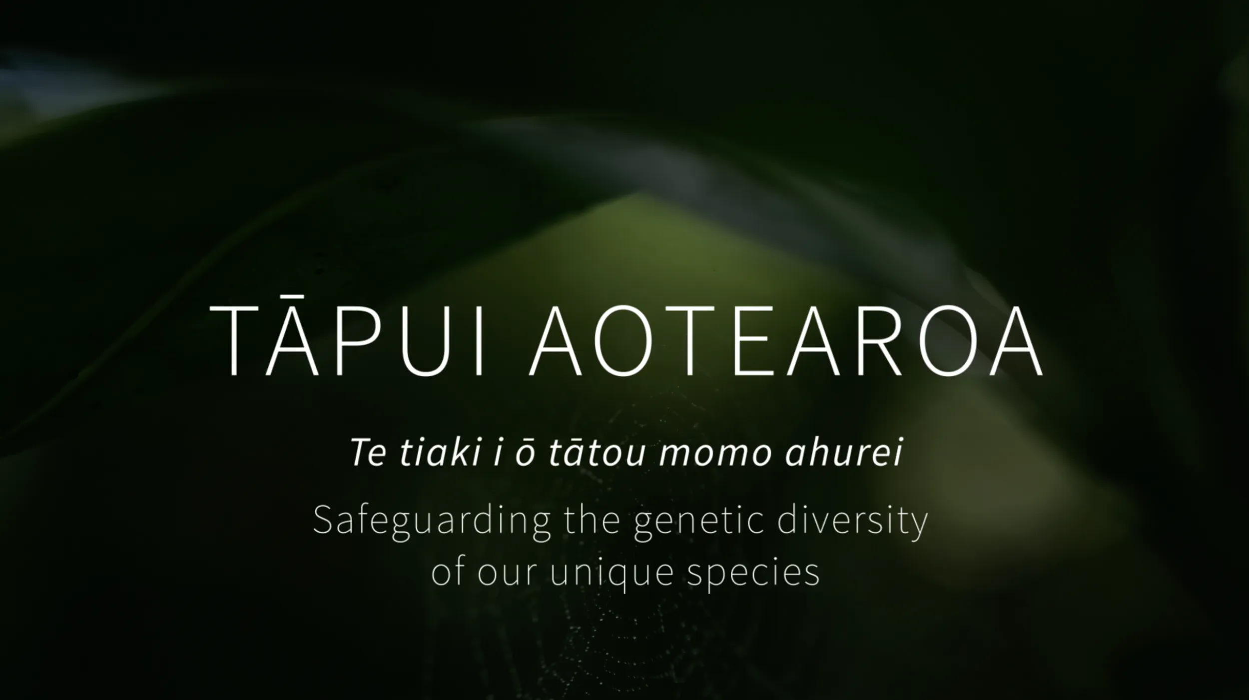 Tāpui Aotearoa